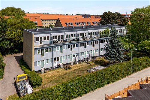 estate