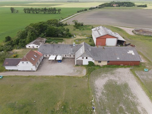 estate