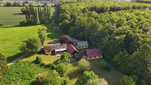 estate