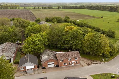 estate