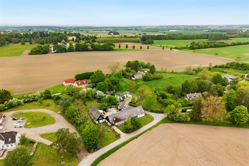 estate