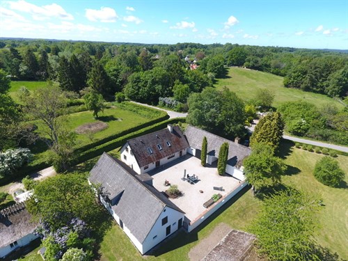 estate