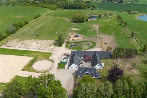 estate