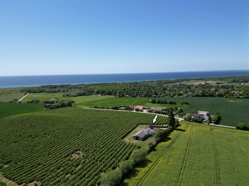 estate
