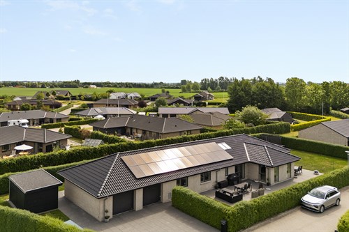 estate