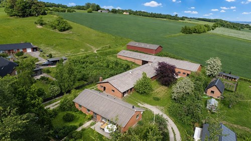 estate