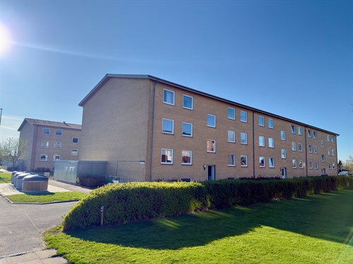 estate