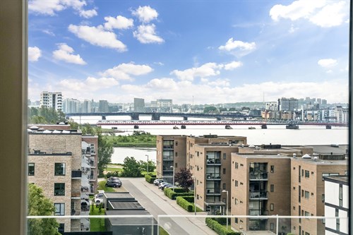 estate