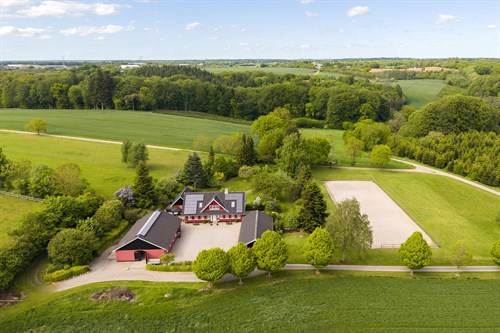 estate