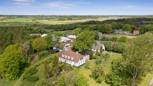 estate
