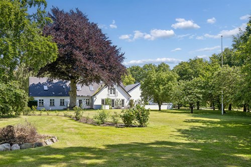 estate