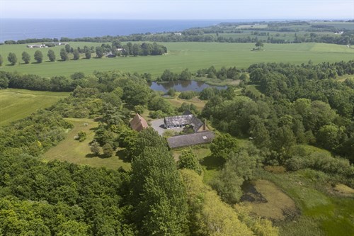 estate