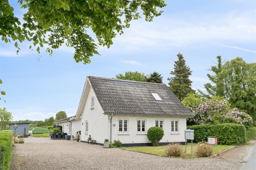 estate