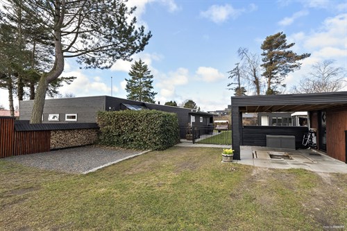 estate