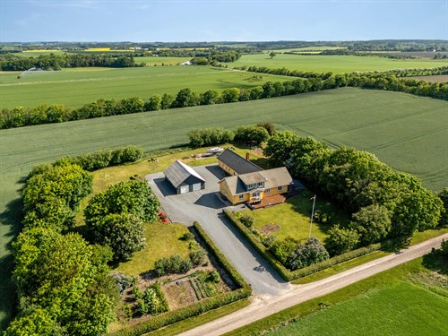 estate