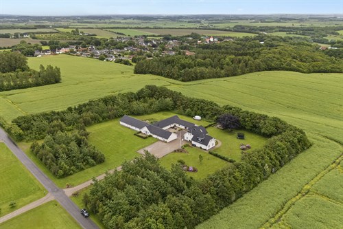estate