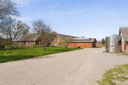 estate