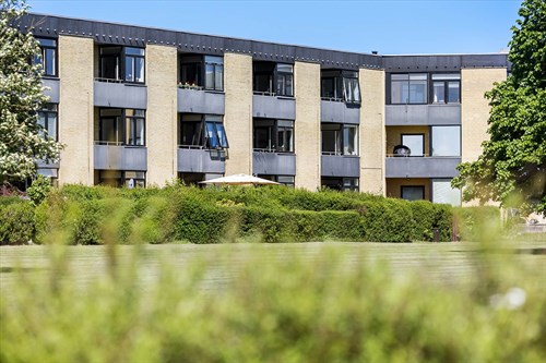 estate