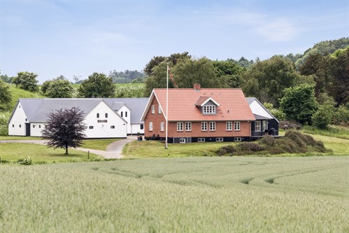 estate
