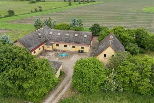 estate