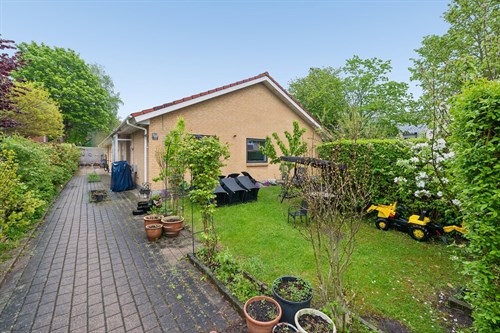 estate