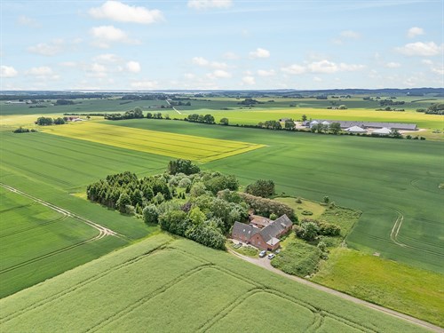 estate