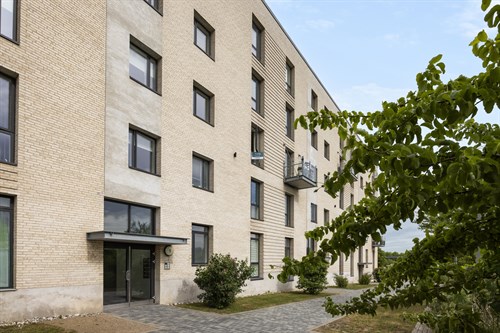 estate