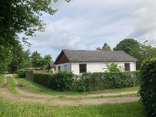 estate