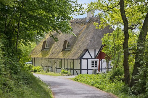 estate