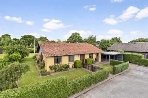 estate