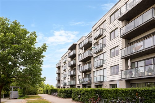 estate