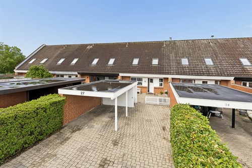 estate