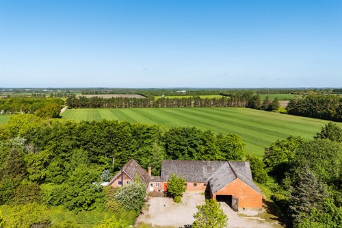 estate