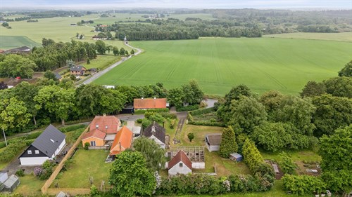 estate