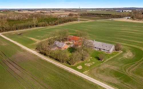 estate