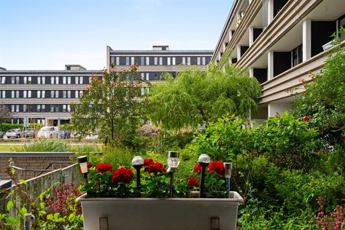 estate