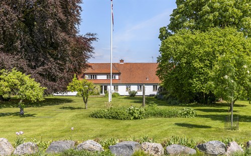 estate