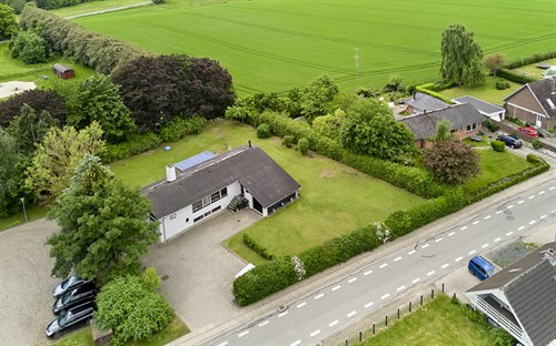 estate