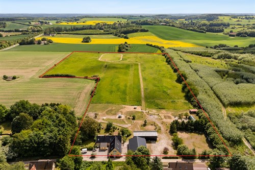 estate
