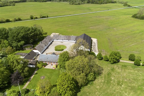 estate