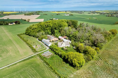 estate