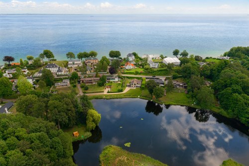 estate