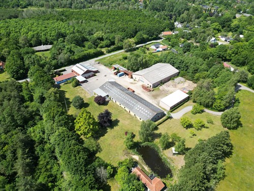 estate