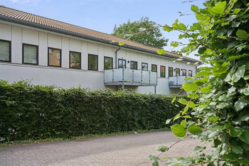 estate