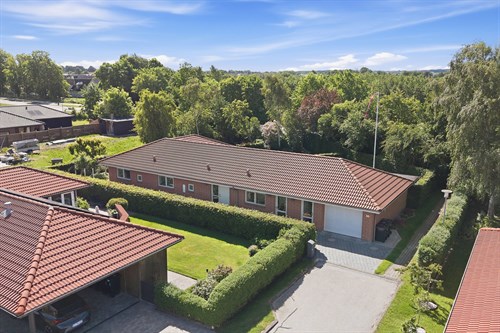 estate