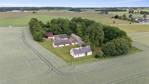 estate