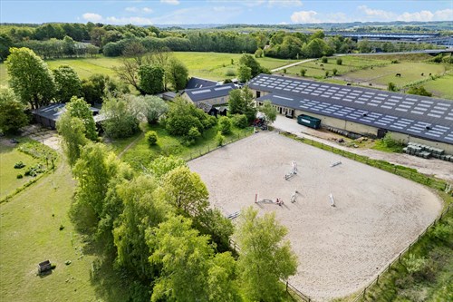 estate