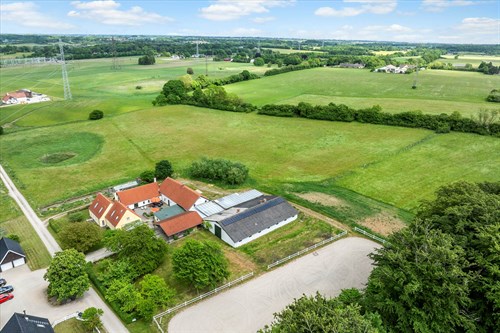 estate