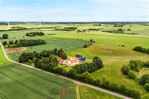 estate