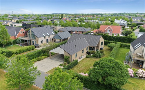 estate